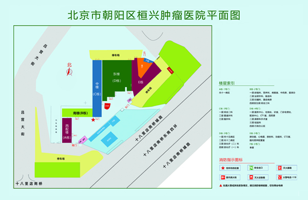 操俩个老骚逼黄片免费看北京市朝阳区桓兴肿瘤医院平面图